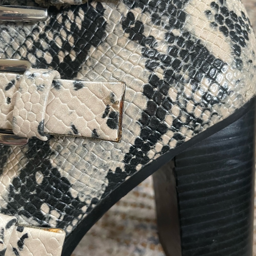 Steve Madden Black and Cream Snakeskin Ankle Boots - Picture 7 of 8